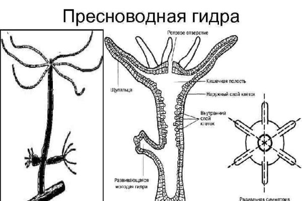 Как восстановить доступ к аккаунту кракен