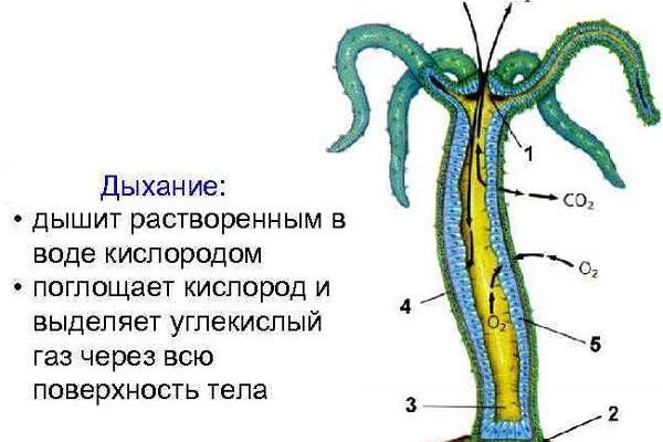 Кракен не грузит