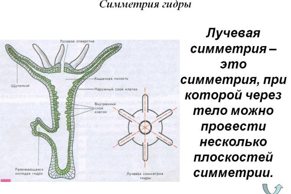 Kraken 4 ссылка